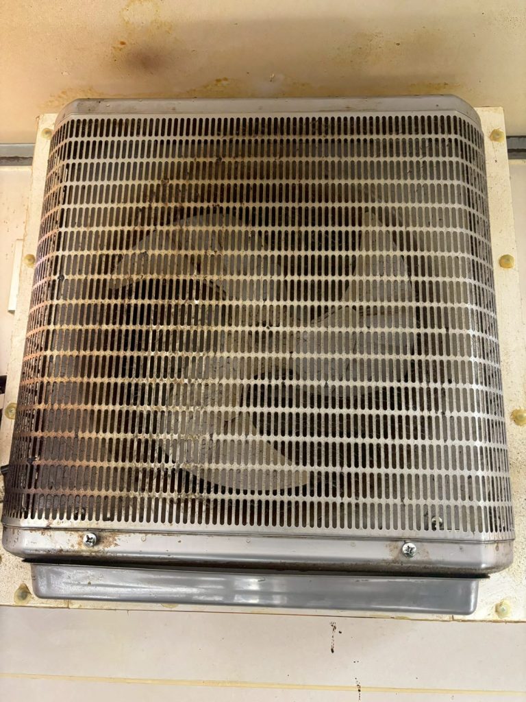 換気扇 ハウスクリーニング 高石市